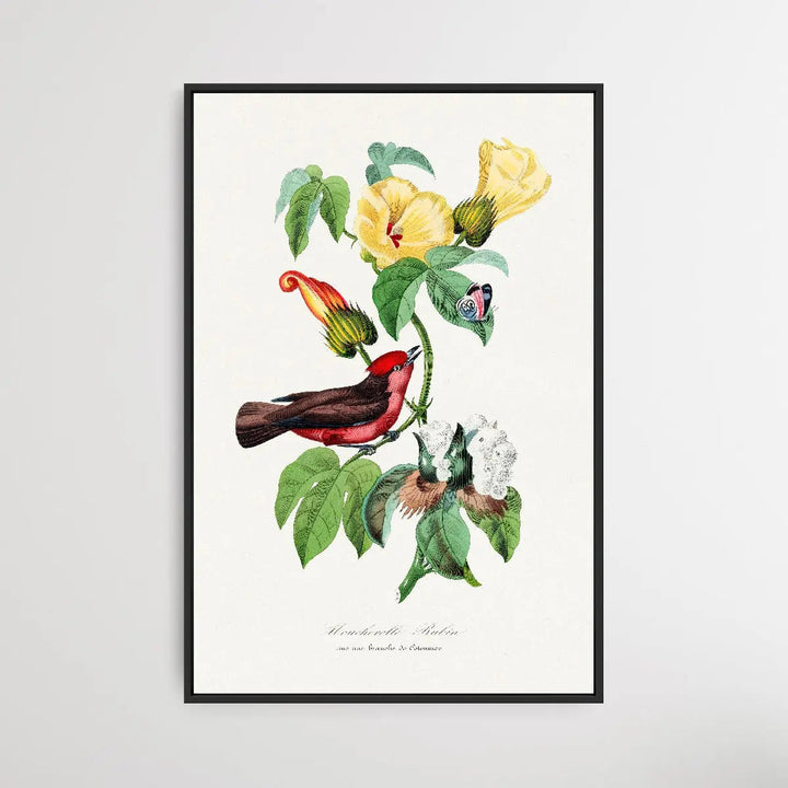 Vermilion Flycatcher by Paul Gervais - I Heart Wall Art