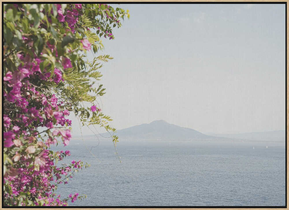Vesuvius Landscape - Stretched Canvas, Poster or Fine Art Print - I Heart Wall Art - Poster Print, Canvas Print or Framed Art Print