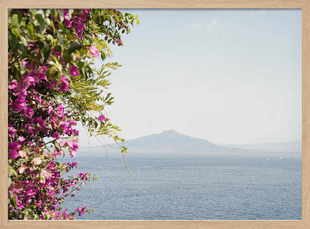 Vesuvius Landscape - Stretched Canvas, Poster or Fine Art Print - I Heart Wall Art - Poster Print, Canvas Print or Framed Art Print