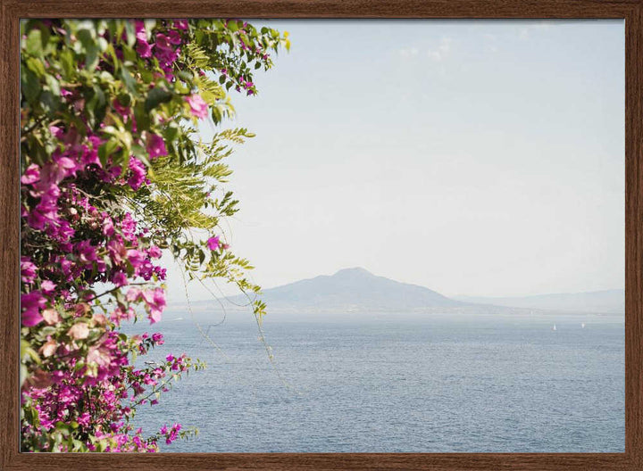 Vesuvius Landscape - Stretched Canvas, Poster or Fine Art Print - I Heart Wall Art - Poster Print, Canvas Print or Framed Art Print