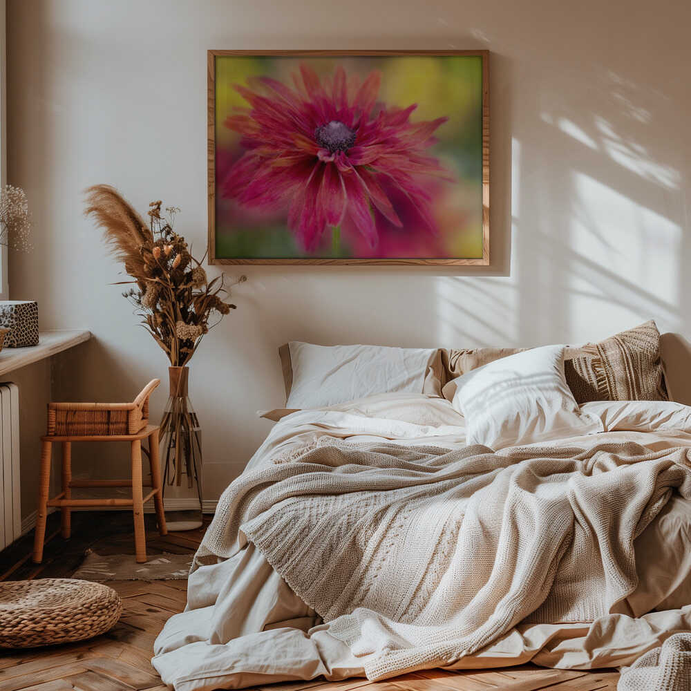 Vibrant Magenta Bloom - Floral Photographic Stretched Canvas Poster or Fine Art Print