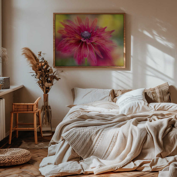 Vibrant Magenta Bloom - Floral Photographic Stretched Canvas Poster or Fine Art Print