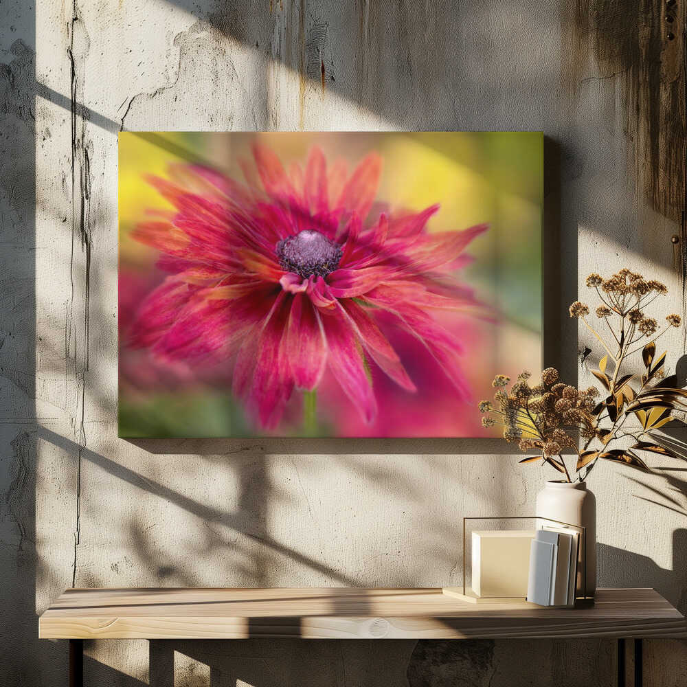 Vibrant Magenta Bloom - Floral Photographic Stretched Canvas Poster or Fine Art Print