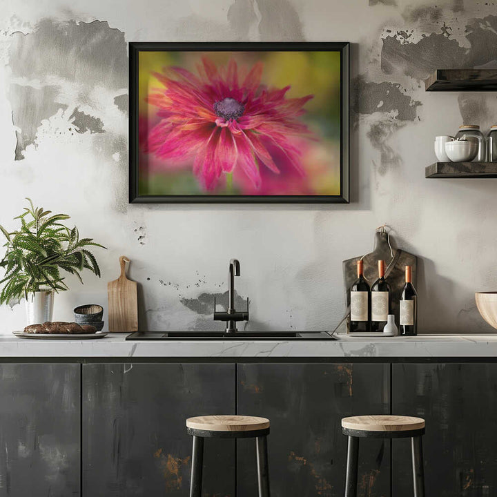 Vibrant Magenta Bloom - Floral Photographic Stretched Canvas Poster or Fine Art Print