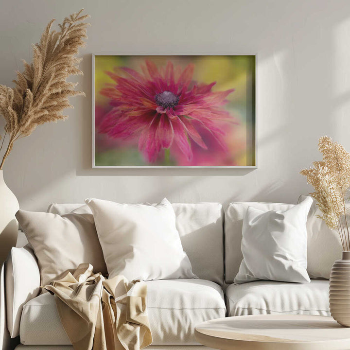 Vibrant Magenta Bloom - Floral Photographic Stretched Canvas Poster or Fine Art Print
