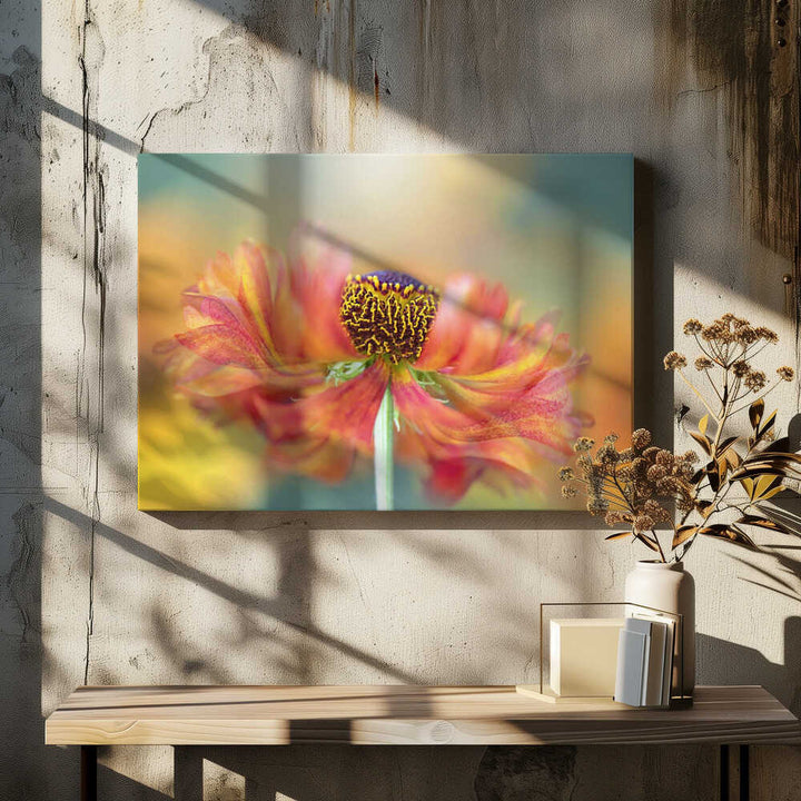 Vibrant Orange Bloom - Floral Photographic Stretched Canvas Poster or Fine Art Print