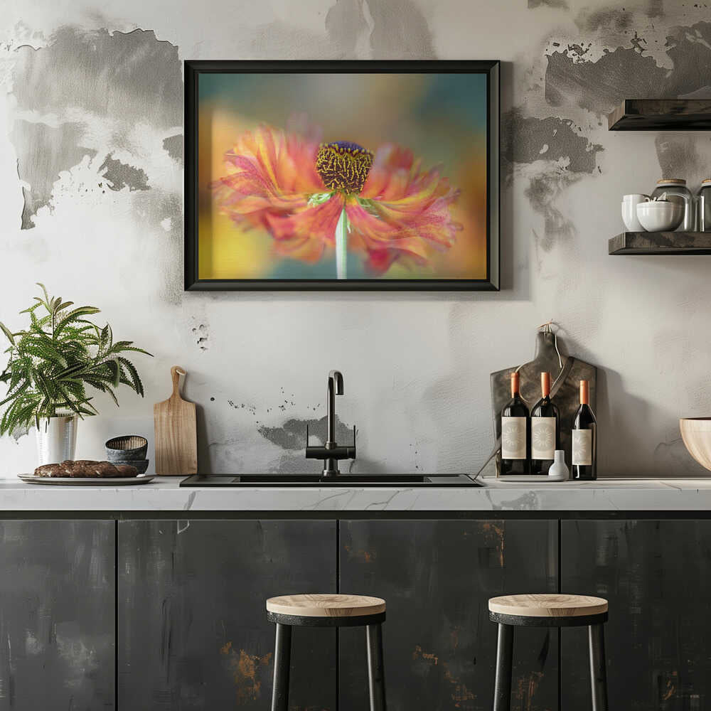 Vibrant Orange Bloom - Floral Photographic Stretched Canvas Poster or Fine Art Print