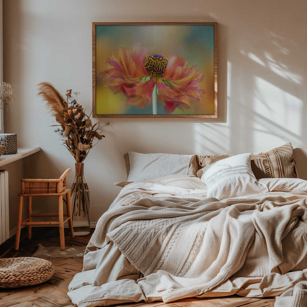 Vibrant Orange Bloom - Floral Photographic Stretched Canvas Poster or Fine Art Print