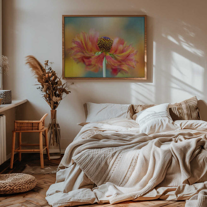 Vibrant Orange Bloom - Floral Photographic Stretched Canvas Poster or Fine Art Print