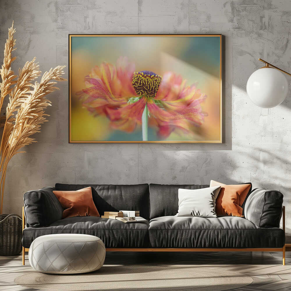 Vibrant Orange Bloom - Floral Photographic Stretched Canvas Poster or Fine Art Print