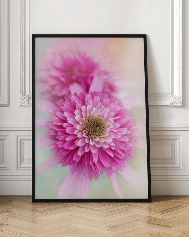 Vibrant Pink Blooms - Floral Photographic Stretched Canvas Poster or Fine Art Print