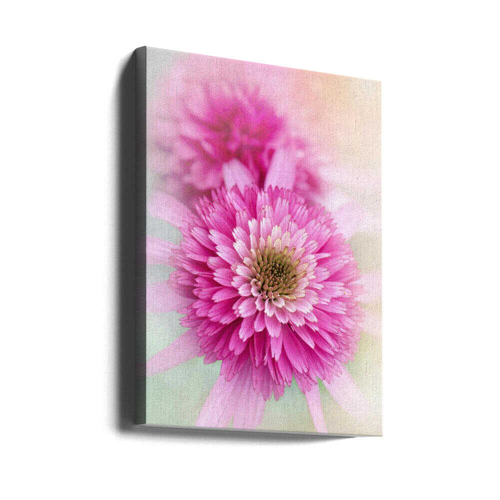 Vibrant Pink Blooms - Floral Photographic Stretched Canvas Poster or Fine Art Print