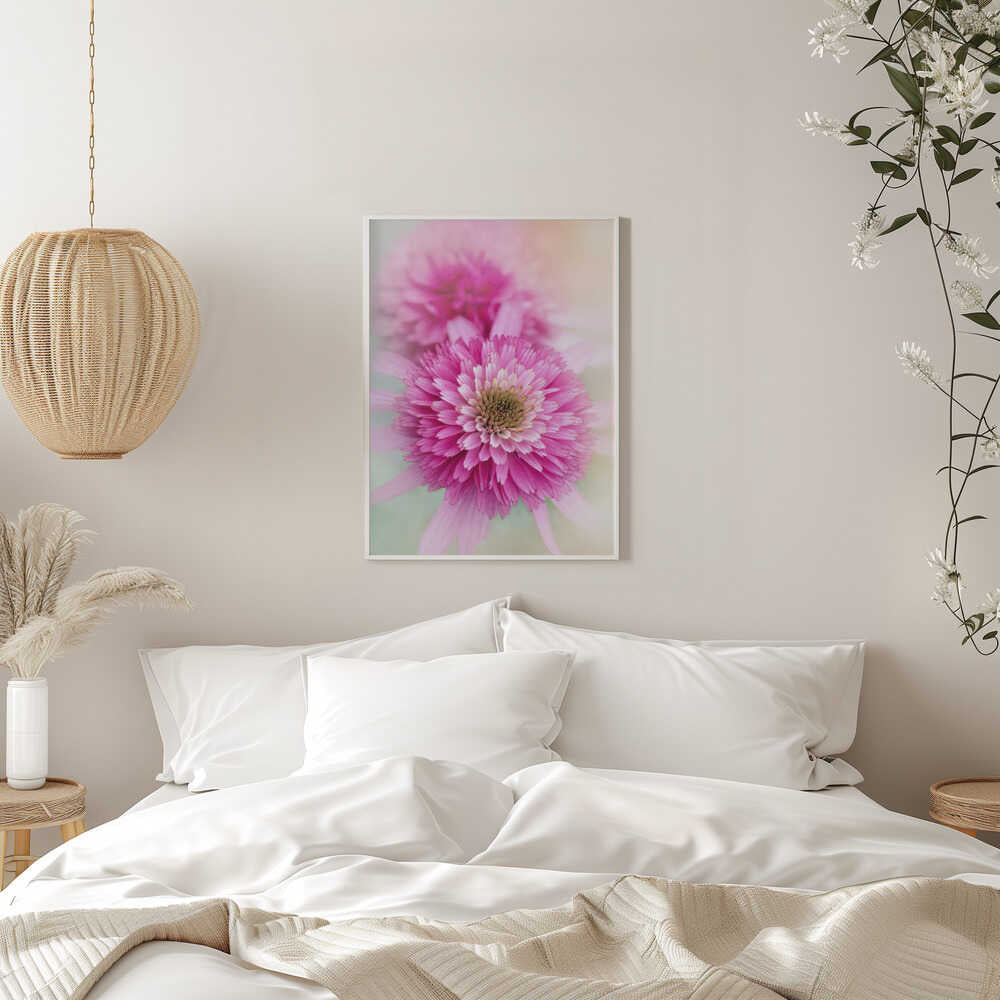 Vibrant Pink Blooms - Floral Photographic Stretched Canvas Poster or Fine Art Print