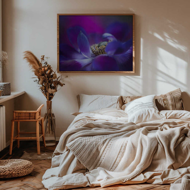 Vibrant Purple Bloom - Stretched Canvas Poster or Fine Art Print