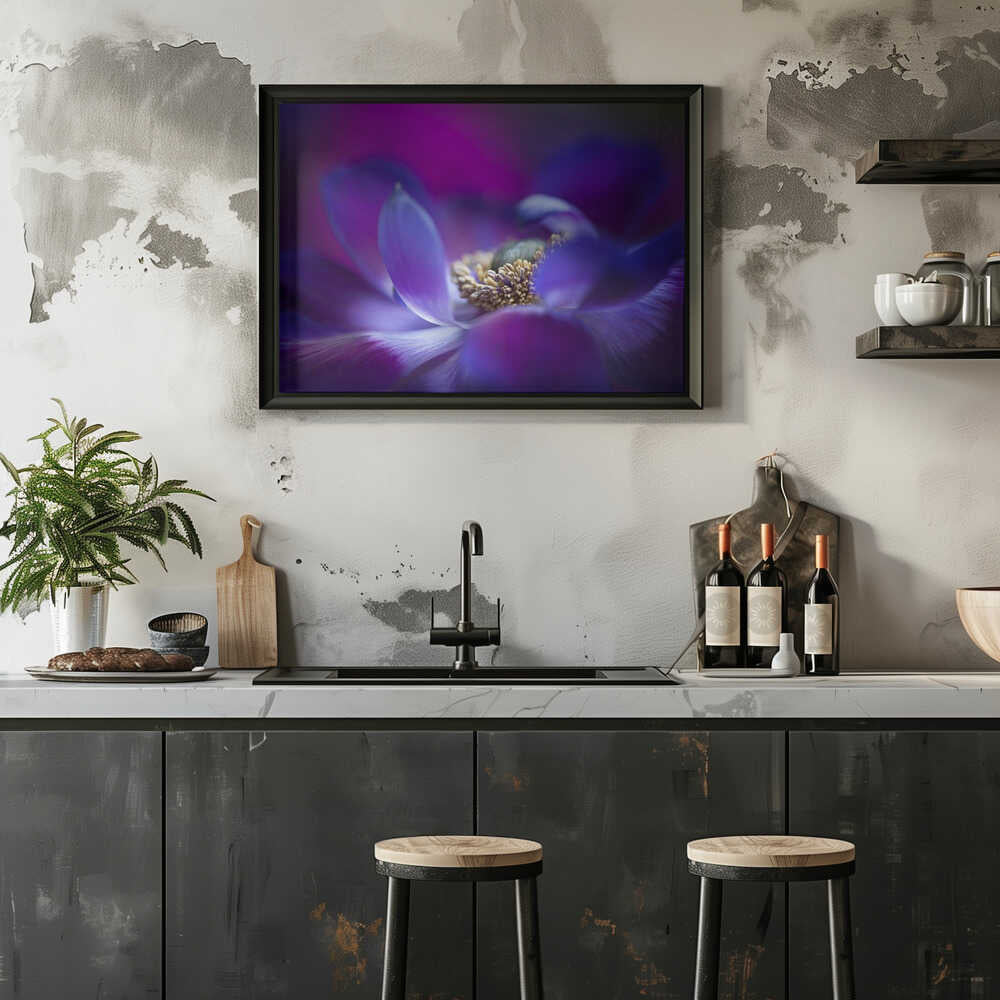 Vibrant Purple Bloom - Stretched Canvas Poster or Fine Art Print
