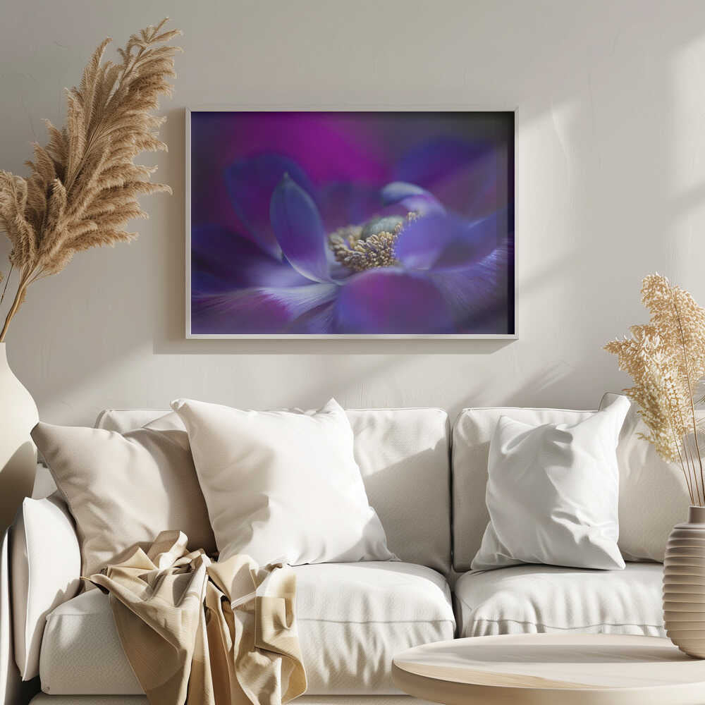 Vibrant Purple Bloom - Stretched Canvas Poster or Fine Art Print