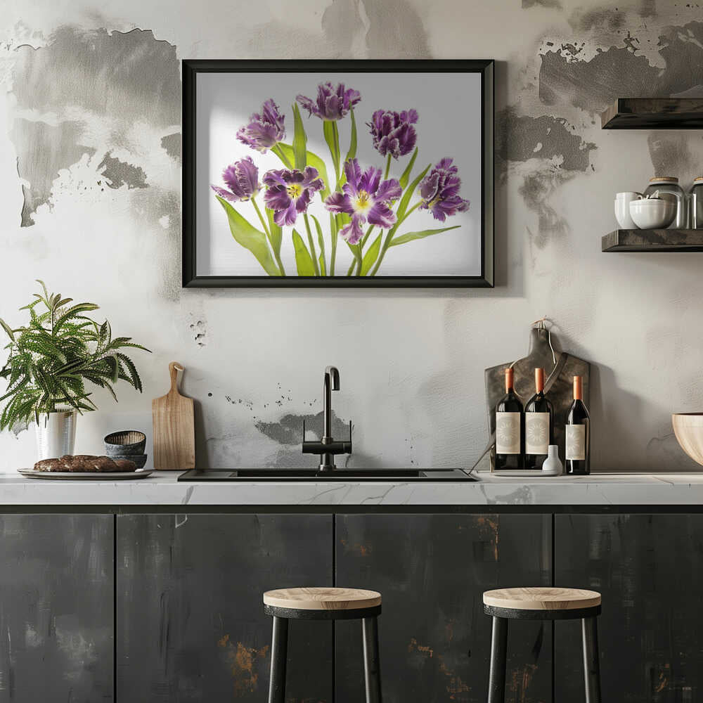 Vibrant Purple Tulips - Stretched Canvas Poster or Fine Art Print