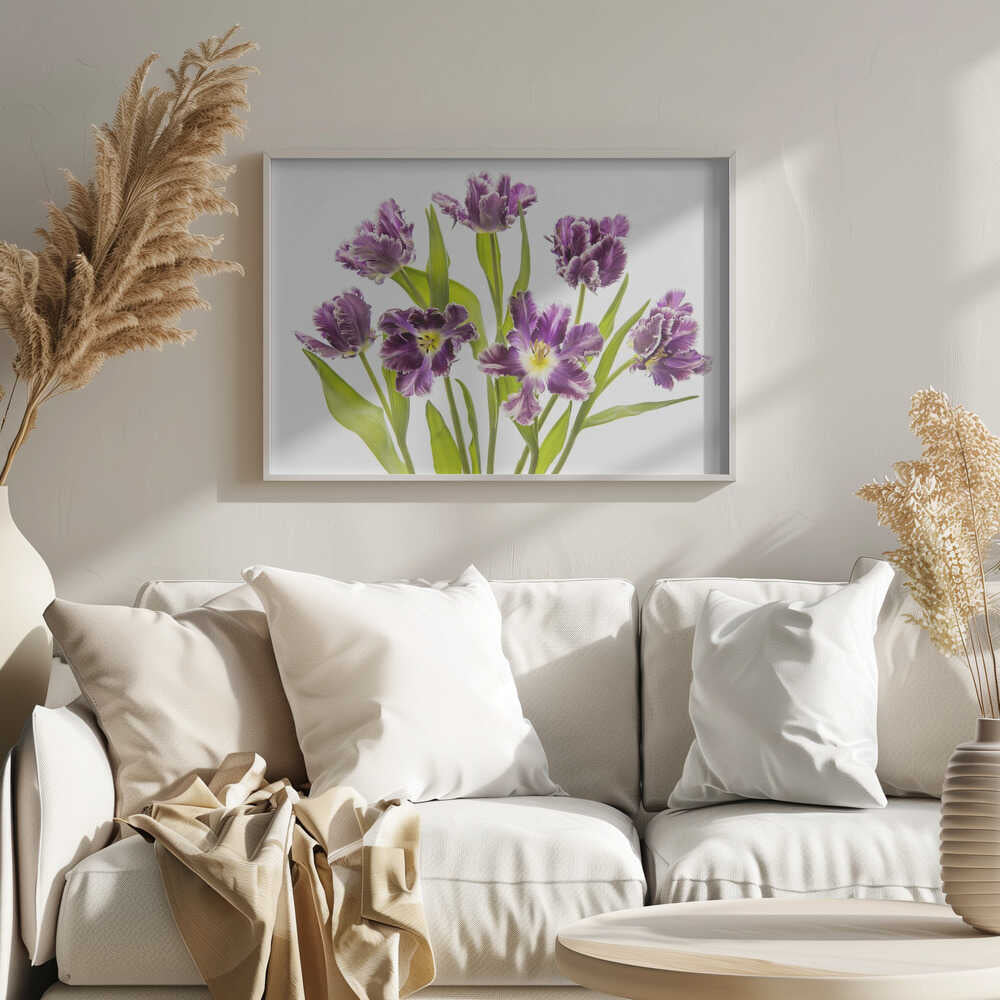 Vibrant Purple Tulips - Stretched Canvas Poster or Fine Art Print