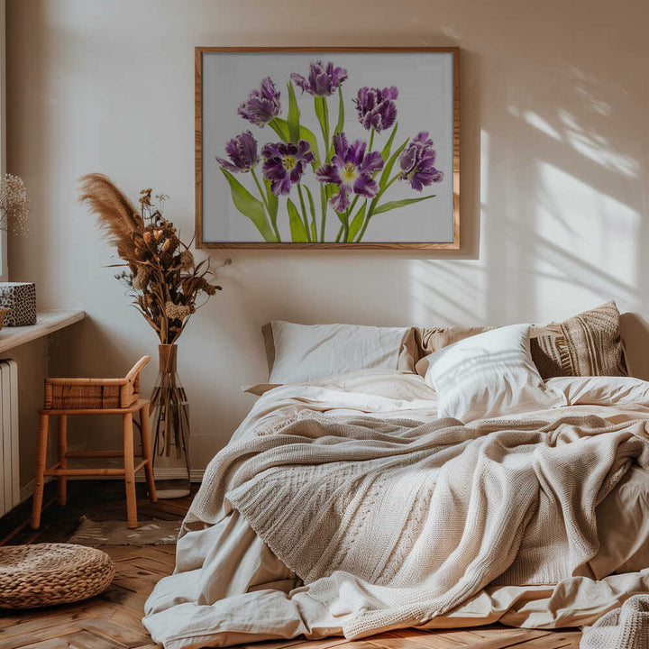 Vibrant Purple Tulips - Stretched Canvas Poster or Fine Art Print