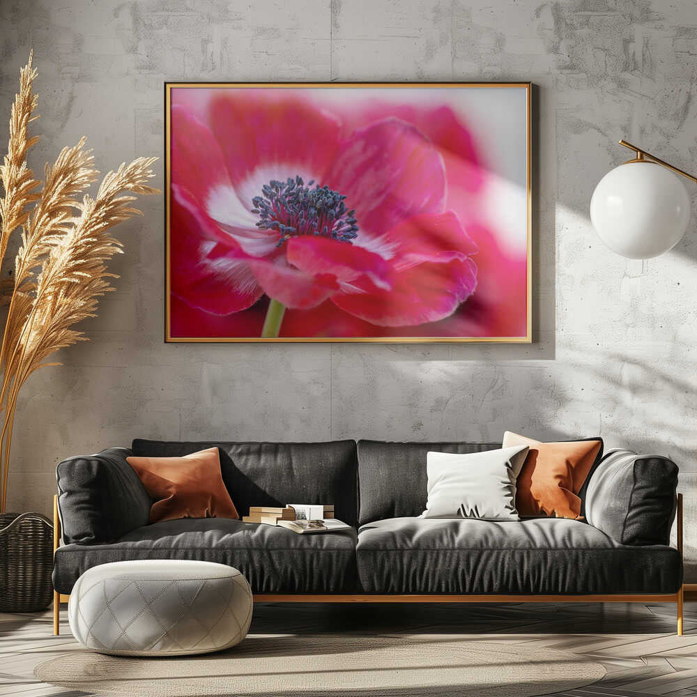Vibrant Red Anemone - Floral Photographic Stretched Canvas Poster or Fine Art Print