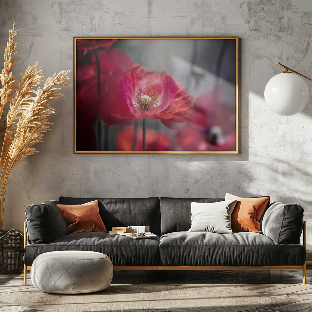 Vibrant Red Poppy - Floral Photographic Stretched Canvas Poster or Fine Art Print