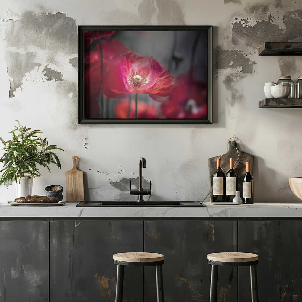Vibrant Red Poppy - Floral Photographic Stretched Canvas Poster or Fine Art Print