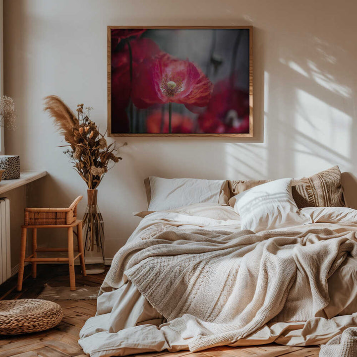 Vibrant Red Poppy - Floral Photographic Stretched Canvas Poster or Fine Art Print