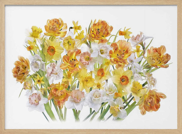 Vibrant Spring Bouquet - Floral Photographic Stretched Canvas Poster or Fine Art Print