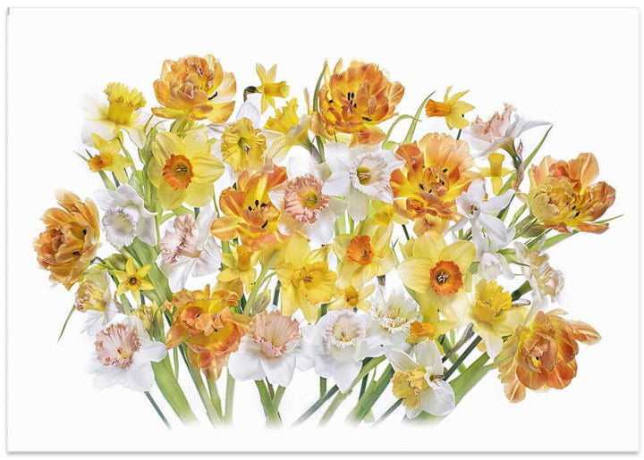 Vibrant Spring Bouquet - Floral Photographic Stretched Canvas Poster or Fine Art Print