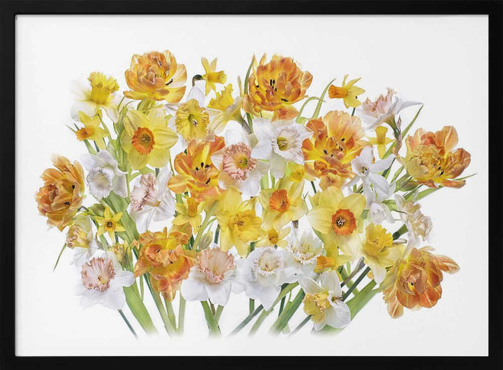 Vibrant Spring Bouquet - Floral Photographic Stretched Canvas Poster or Fine Art Print
