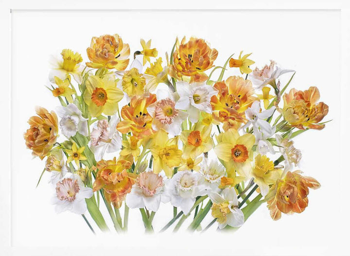 Vibrant Spring Bouquet - Floral Photographic Stretched Canvas Poster or Fine Art Print