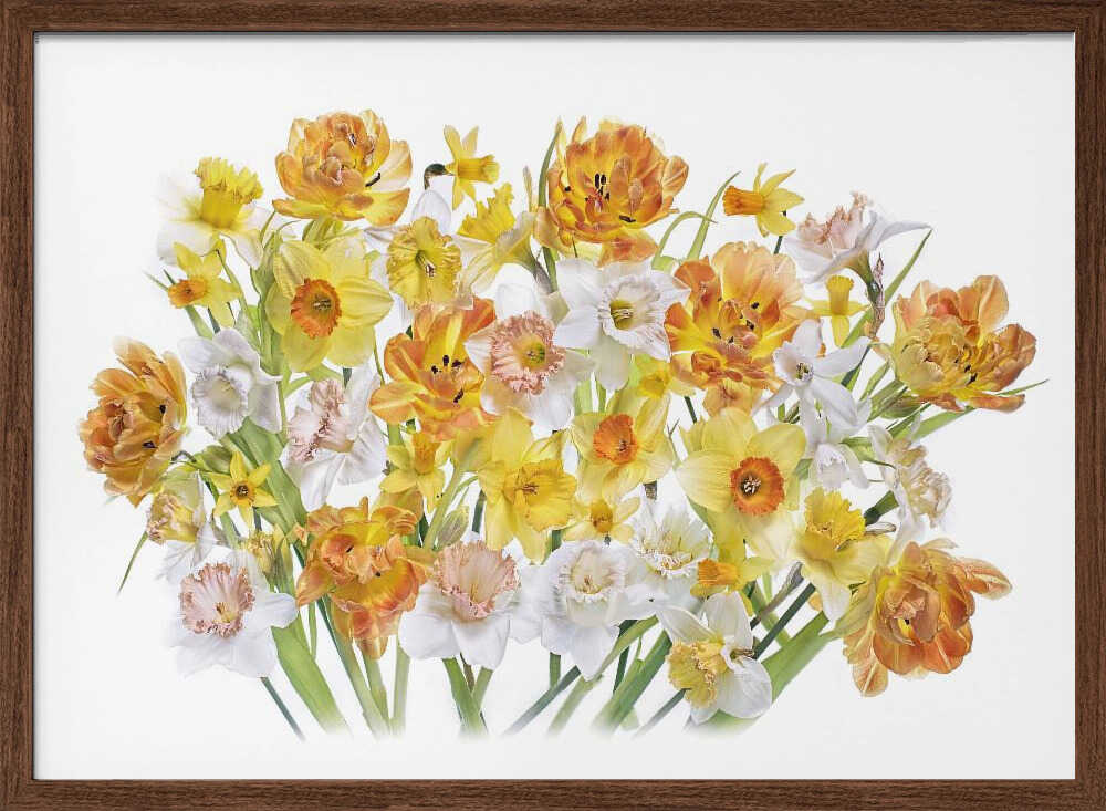 Vibrant Spring Bouquet - Floral Photographic Stretched Canvas Poster or Fine Art Print