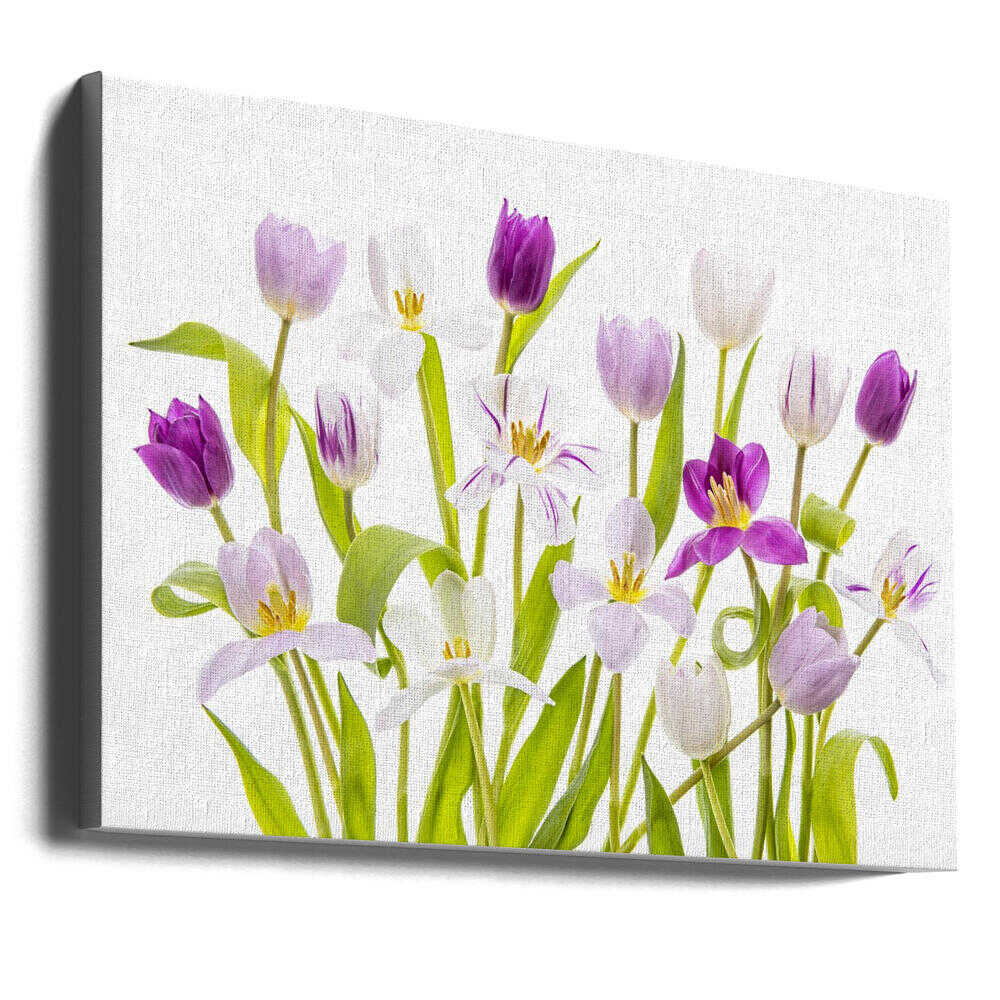Vibrant Spring Tulips - Floral Photographic Stretched Canvas Poster or Fine Art Print