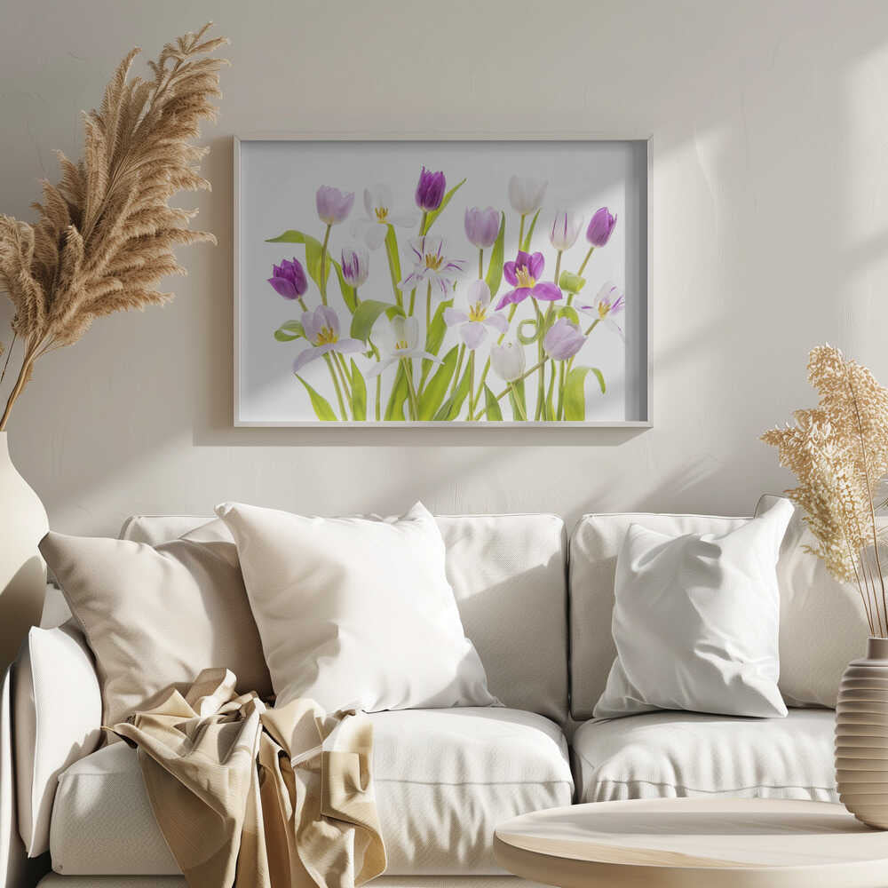 Vibrant Spring Tulips - Floral Photographic Stretched Canvas Poster or Fine Art Print