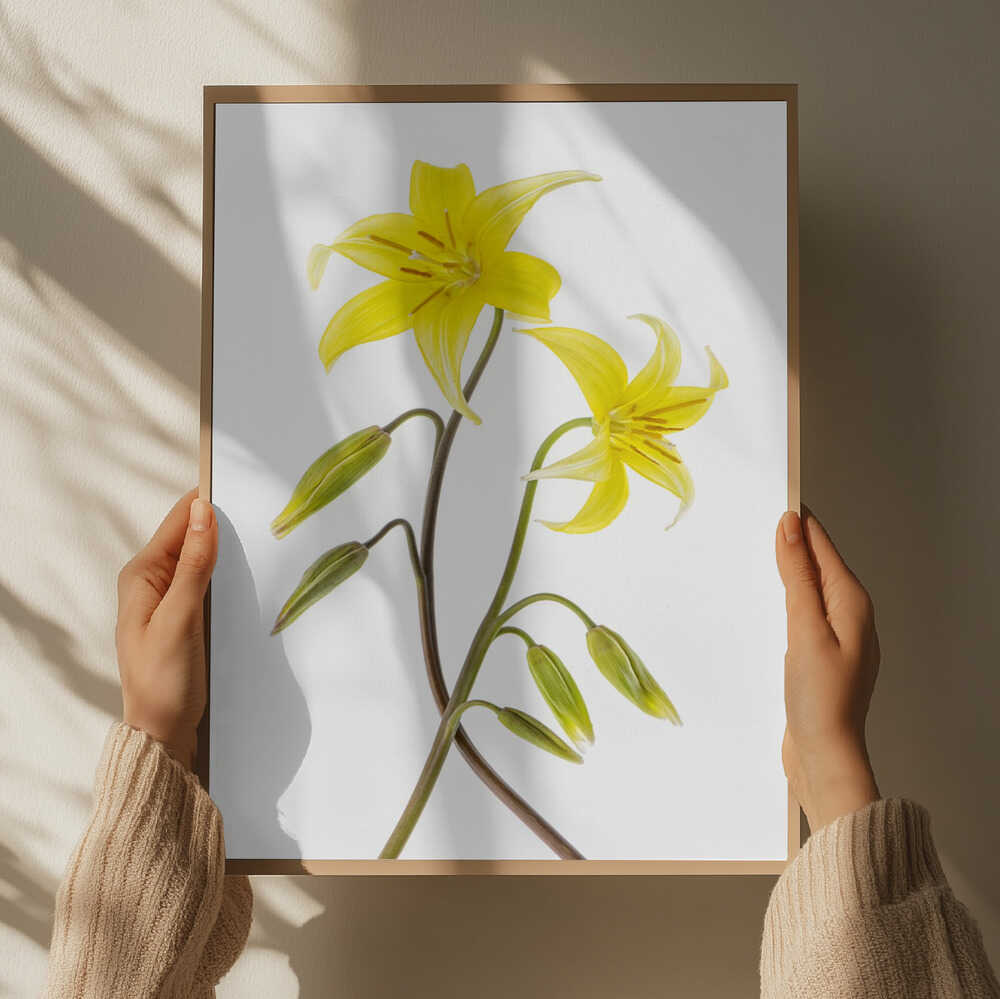 Vibrant Yellow Lilies - Floral Photographic Stretched Canvas Poster or Fine Art Print
