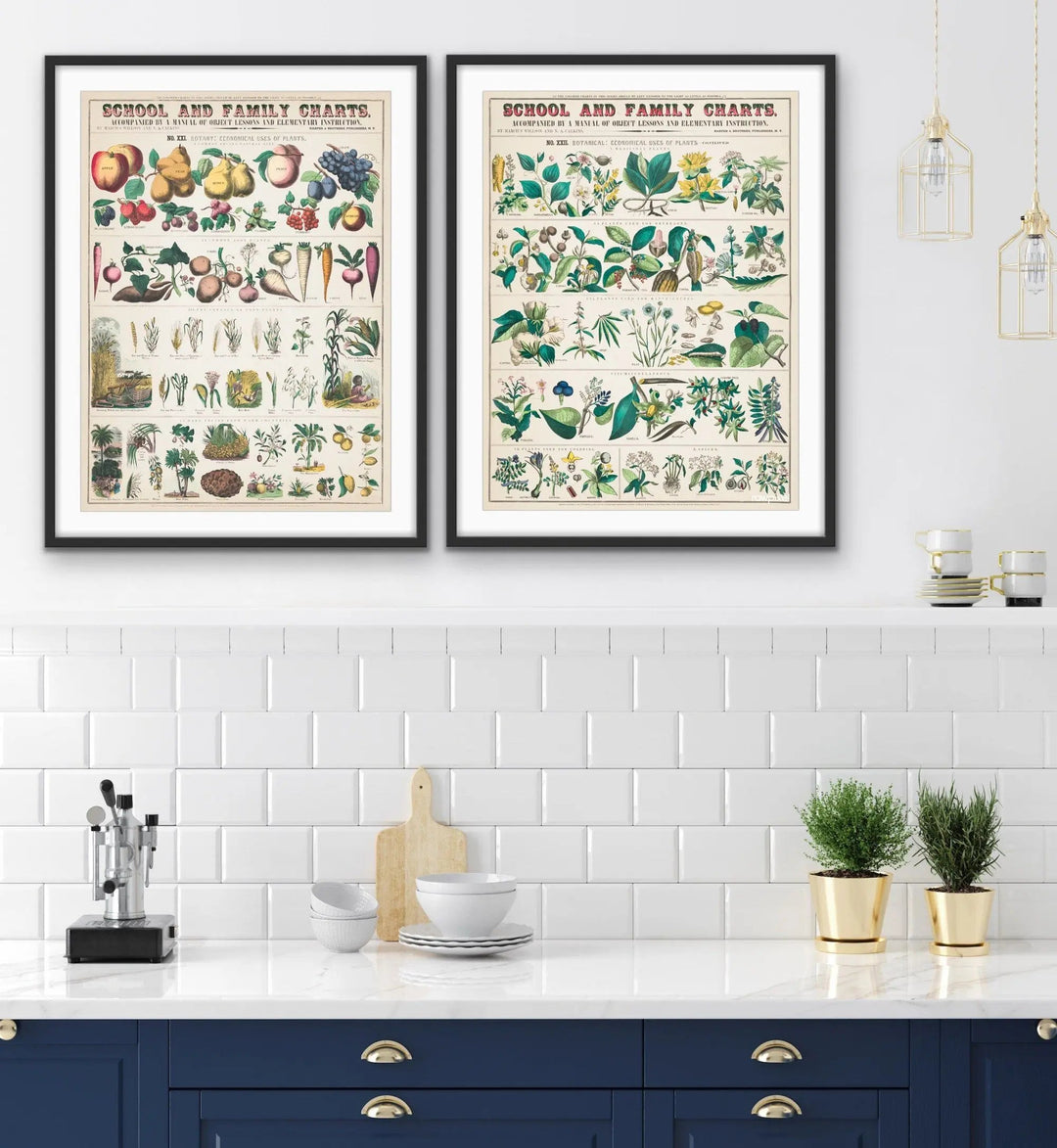 Vintage Botanical Identification Charts - Two Piece Print Set Diptych - I Heart Wall Art