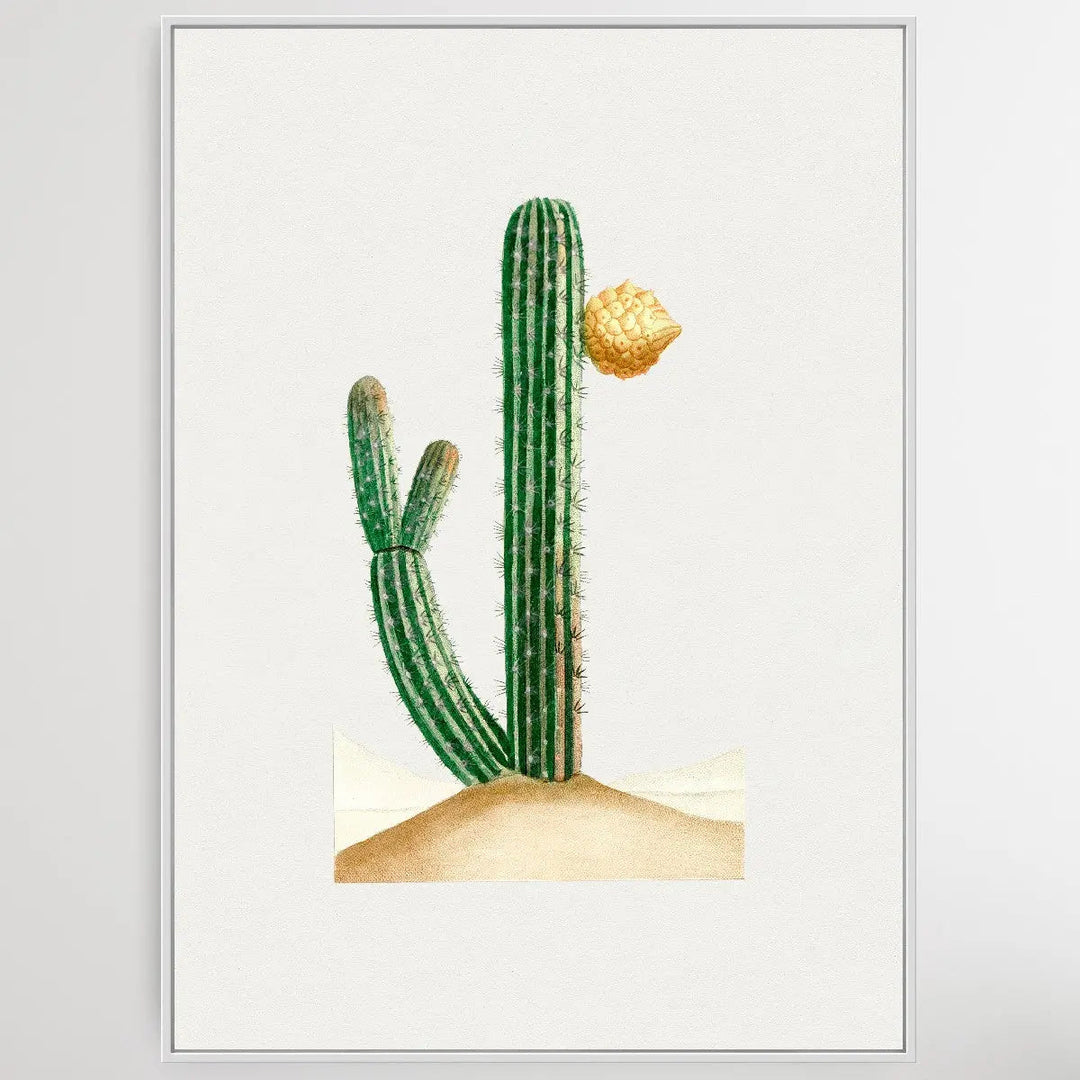 Vintage Cactus I Heart Wall Art Australia 