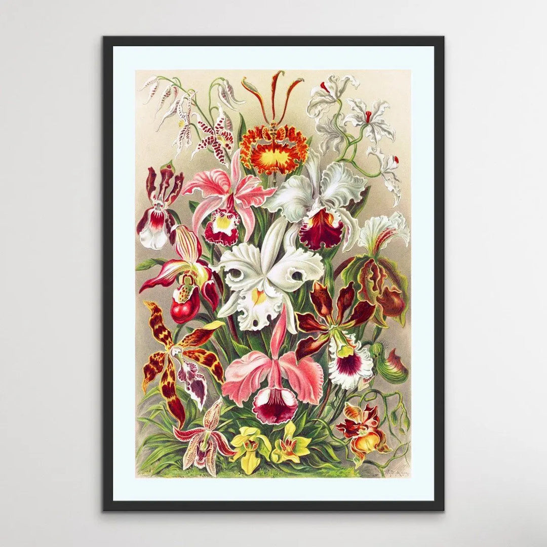 Vintage Orchid Poster - Vintage Botanical Illustration - I Heart Wall Art
