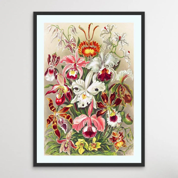 Vintage Orchid Poster - Vintage Botanical Illustration - I Heart Wall Art