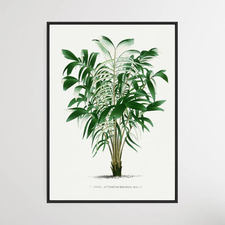 Vintage Palm Tree I by Oswald de Kerchove de Denterghem I Heart Wall Art Australia 