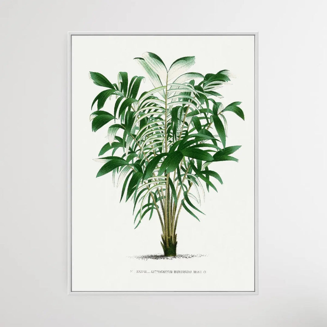 Vintage Palm Tree I by Oswald de Kerchove de Denterghem I Heart Wall Art Australia 