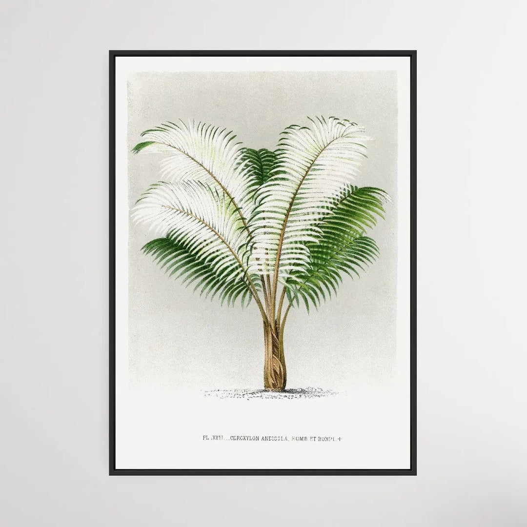 Vintage Palm Tree V by Oswald de Kerchove de Denterghem I Heart Wall Art Australia 