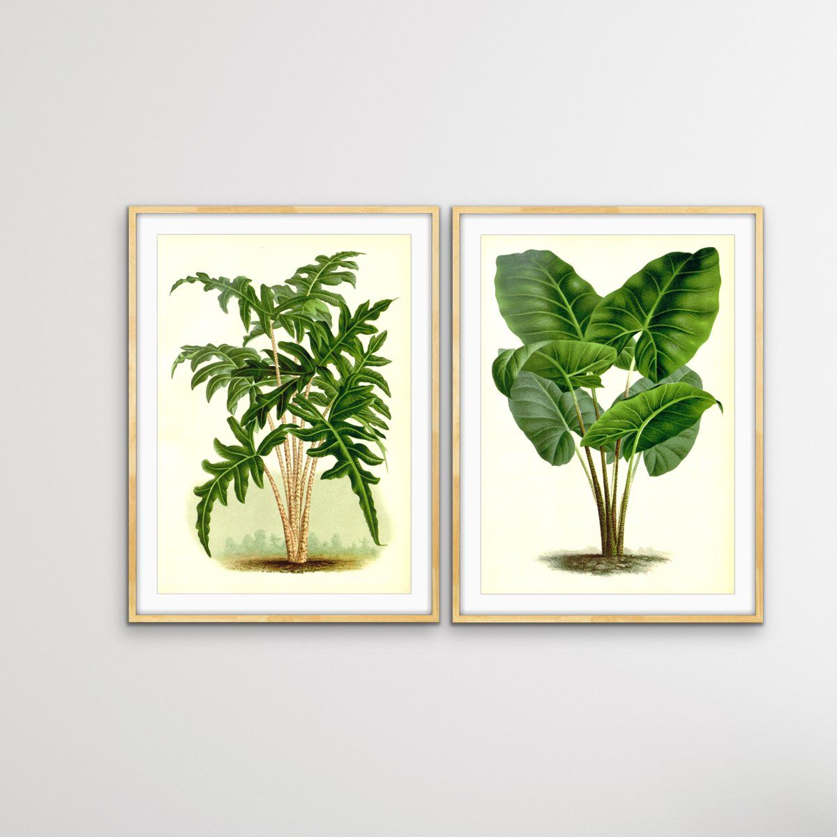 Vintage Palms - Two Piece Vintage Boho Palm Illustration Print Set Diptych - I Heart Wall Art