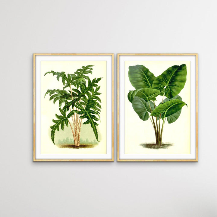 Vintage Palms - Two Piece Vintage Boho Palm Illustration Print Set Diptych - I Heart Wall Art