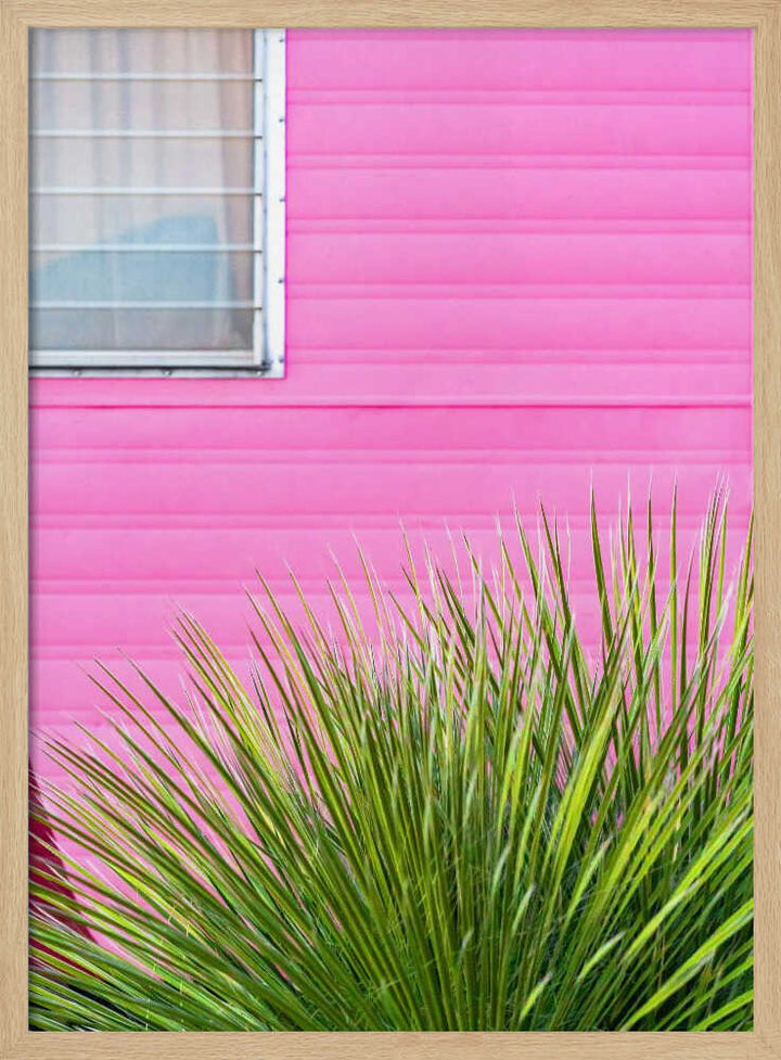 Vintage Pink Camper Trailer with Cactus - Stretched Canvas, Poster or Fine Art Print - I Heart Wall Art - Poster Print, Canvas Print or Framed Art Print