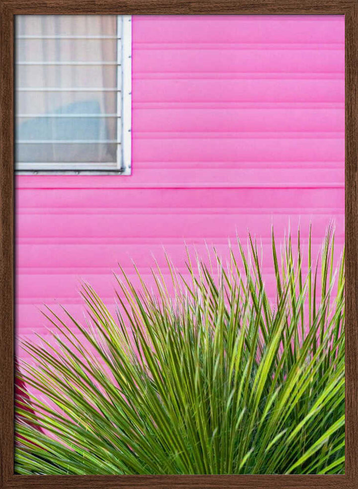 Vintage Pink Camper Trailer with Cactus - Stretched Canvas, Poster or Fine Art Print - I Heart Wall Art - Poster Print, Canvas Print or Framed Art Print