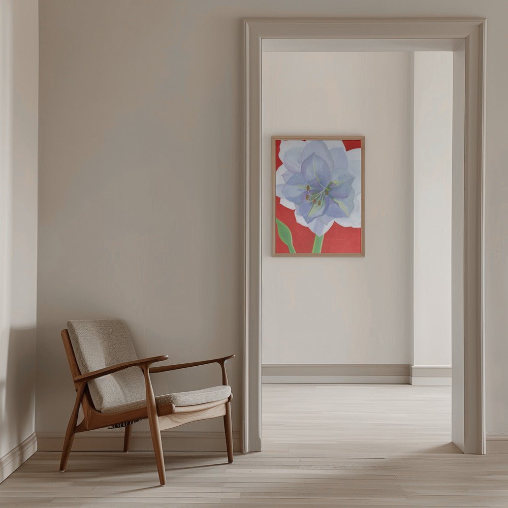 Vit Amaryllis - Stretched Canvas, Poster or Fine Art Print - I Heart Wall Art - Poster Print, Canvas Print or Framed Art Print