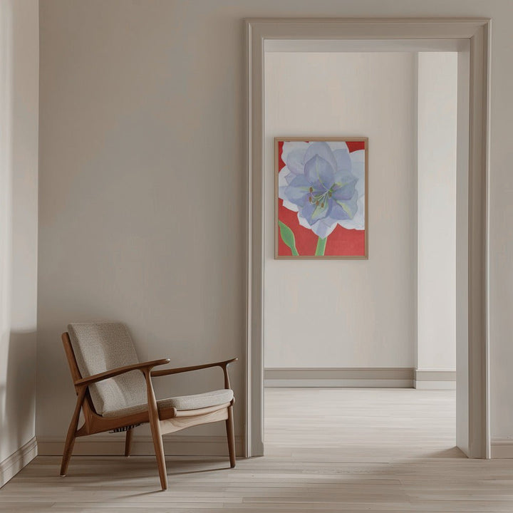 Vit Amaryllis - Stretched Canvas, Poster or Fine Art Print - I Heart Wall Art - Poster Print, Canvas Print or Framed Art Print