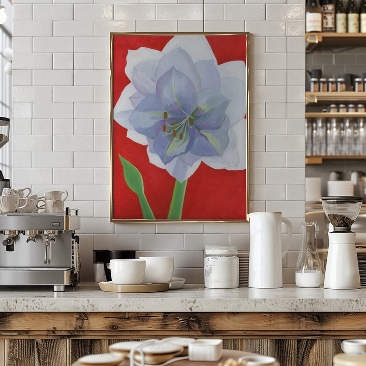 Vit Amaryllis - Stretched Canvas, Poster or Fine Art Print - I Heart Wall Art - Poster Print, Canvas Print or Framed Art Print