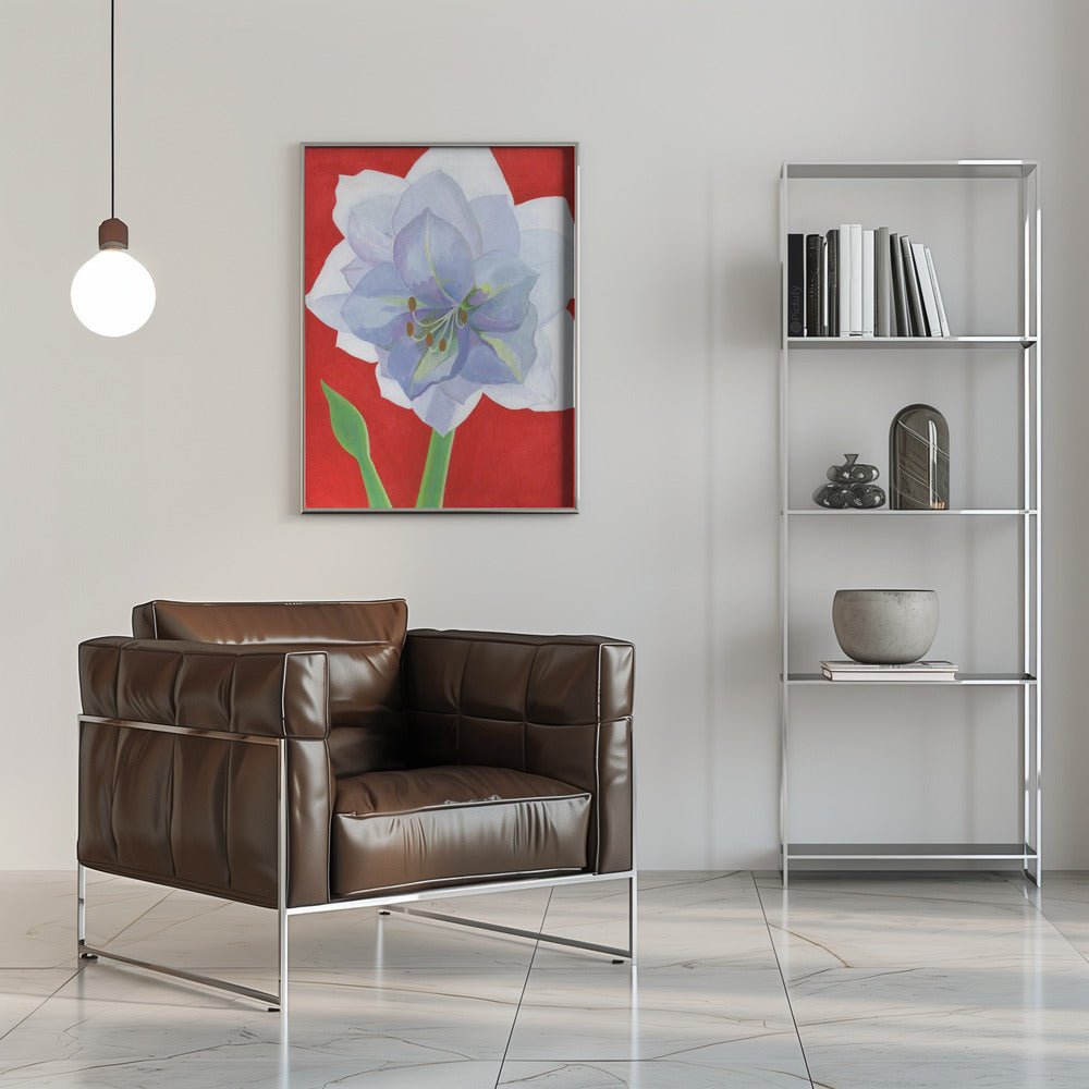 Vit Amaryllis - Stretched Canvas, Poster or Fine Art Print - I Heart Wall Art - Poster Print, Canvas Print or Framed Art Print
